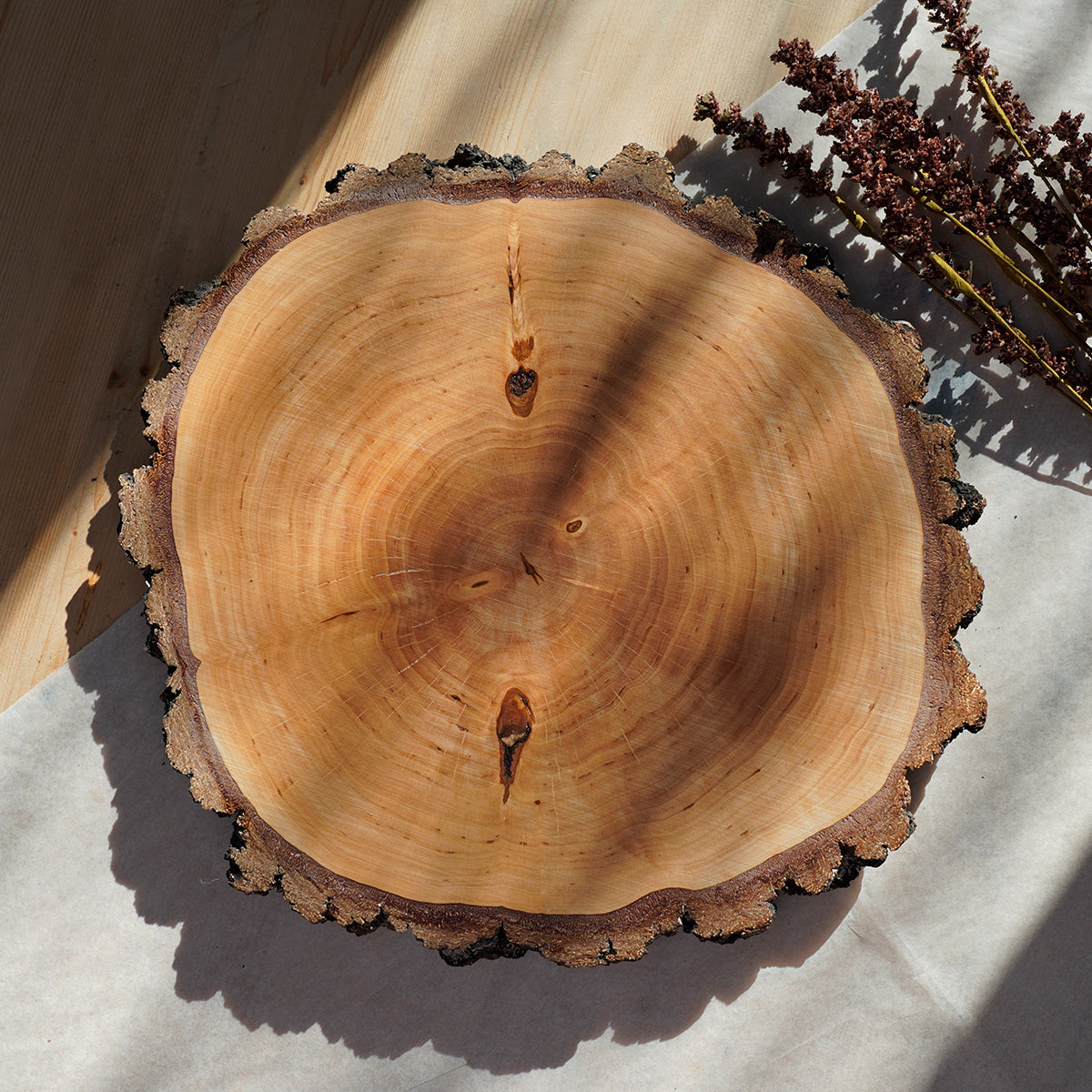 Original | Behutsam im Schlaf - Holzkunst (ca. 32 cm Ø)