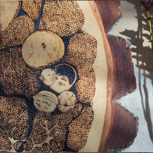 Original | Moosbett - Holzkunst (ca. 50 cm Ø)