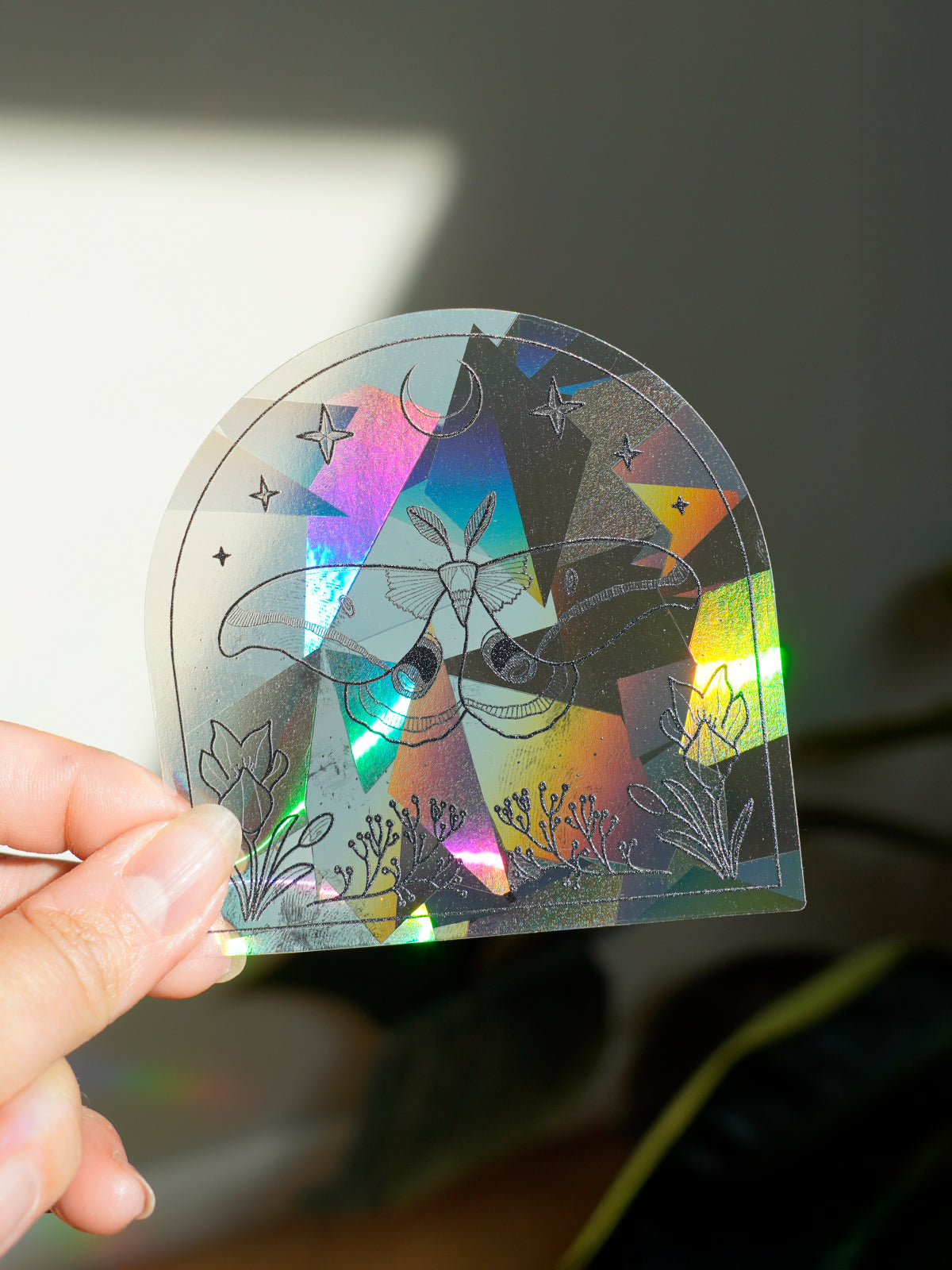 Suncatcher Fenstersticker „Motte“ – Regenbogen Fenstersticker Naturmotiv