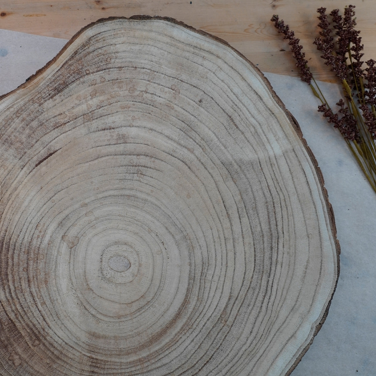 Original | Wachsam im Dickicht - Holzkunst (ca. 50 cm Ø)